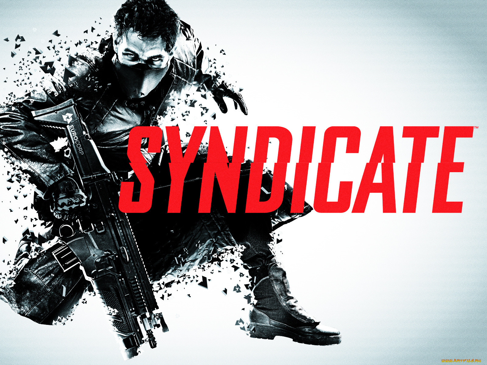 , , syndicate